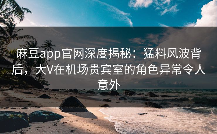麻豆app官网深度揭秘：猛料风波背后，大V在机场贵宾室的角色异常令人意外